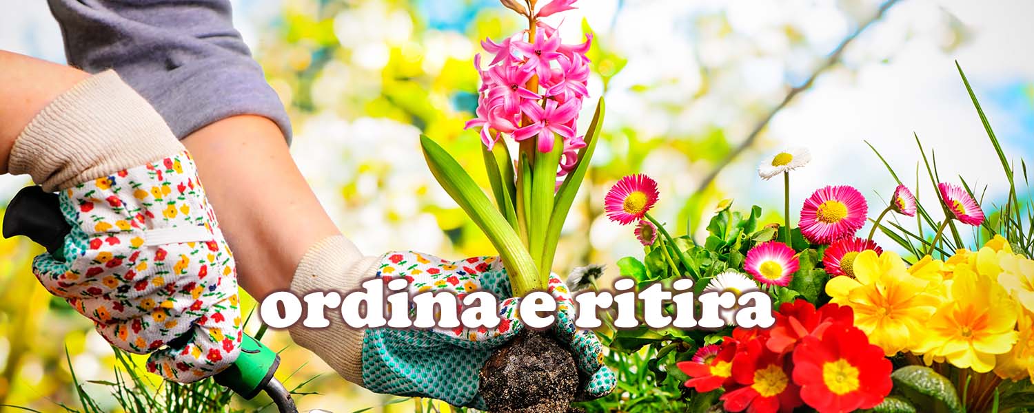 fiori-e-piante-vivaio-garden-cesarini